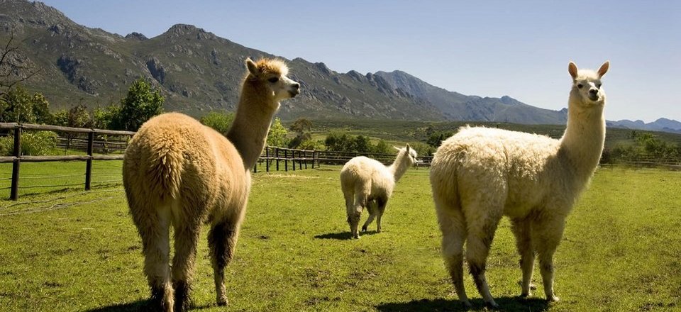 And Explore a World of Wonderful Attractions