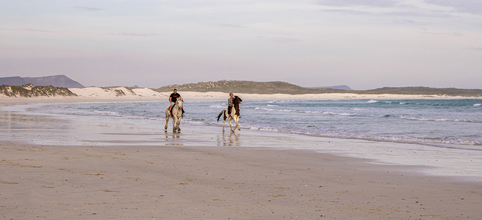 A Playground for Outdoor Enthusiasts and Adventure Seekers