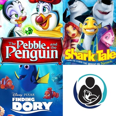 APSS Feeding and Movies - Gansbaai-2024 12 12