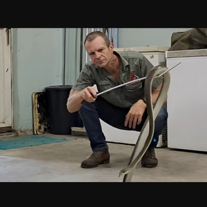 Living with Snakes and Baboons | Xplorio Pringle Bay & Rooi Els
