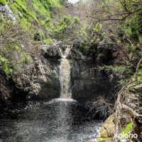Harold Porter National Botanical Garden Harold Porter National Botanical Garden
