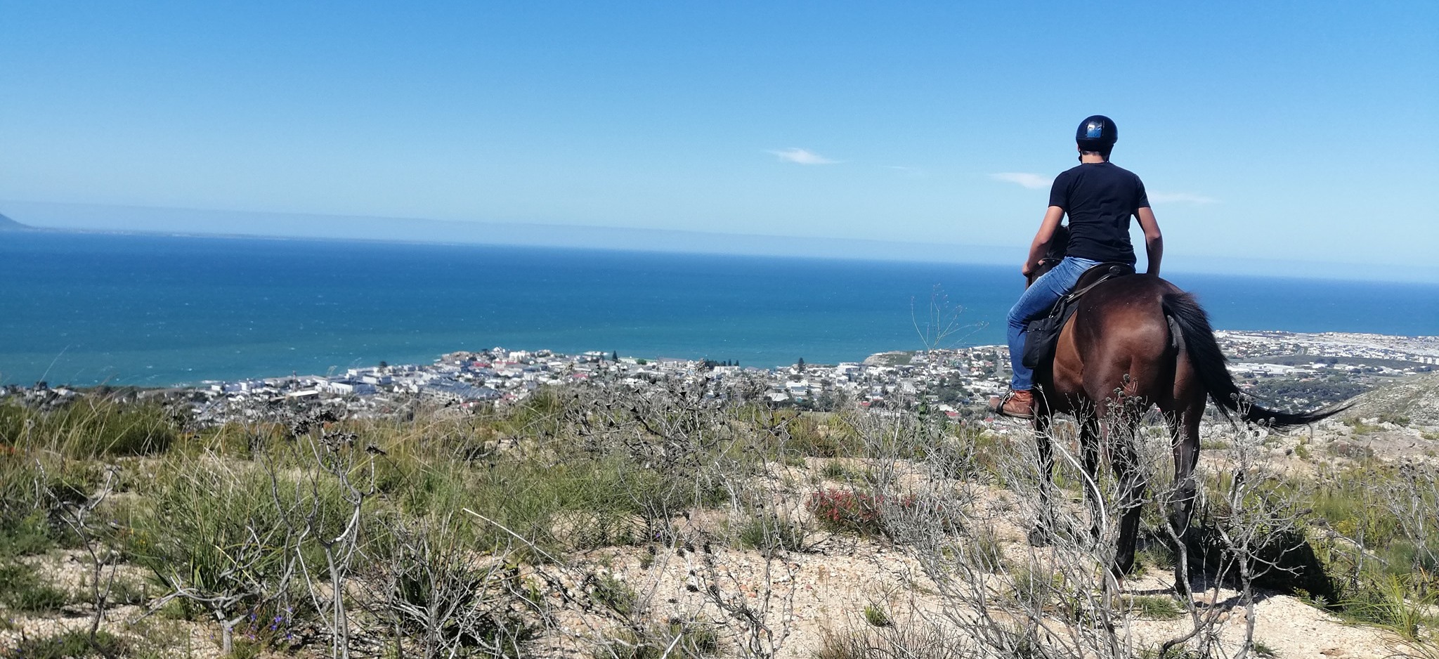 Heaven & Earth Horse Riding Trails Xplorio Hermanus
