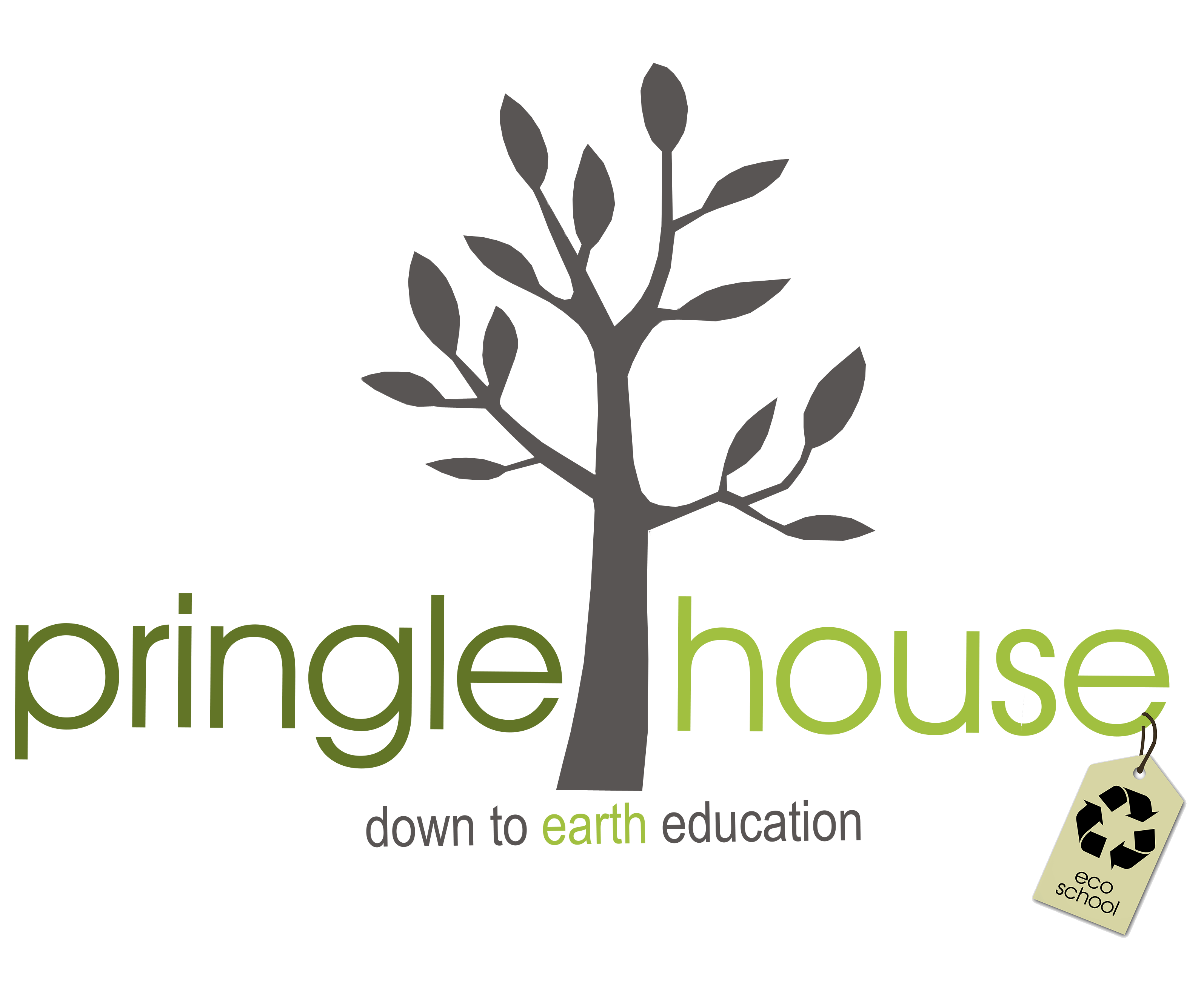 Pringle House Eco School