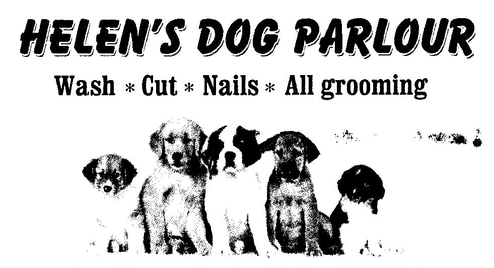 Helen's Dog Parlour Xplorio Betty's Bay