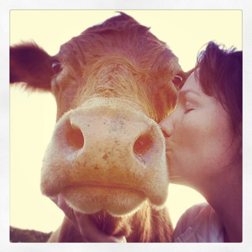 Directions from Cape Town / Hermanus