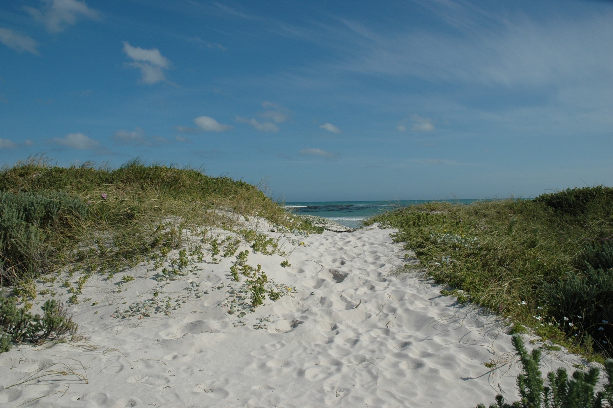Sandy dunes and ocean view at Uilenkraalsmond 