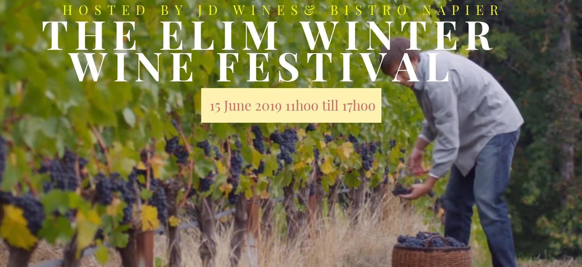 Elim Winter Wine Festival Xplorio Napier