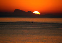 Perlemoenbaai_sunset_whale_sunset_1590505379