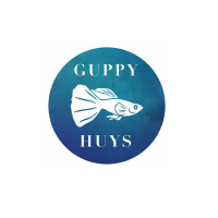 Guppy Huys Oceanside Eco Bungalow