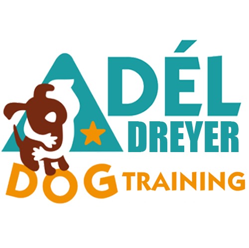 Adél Dog Training