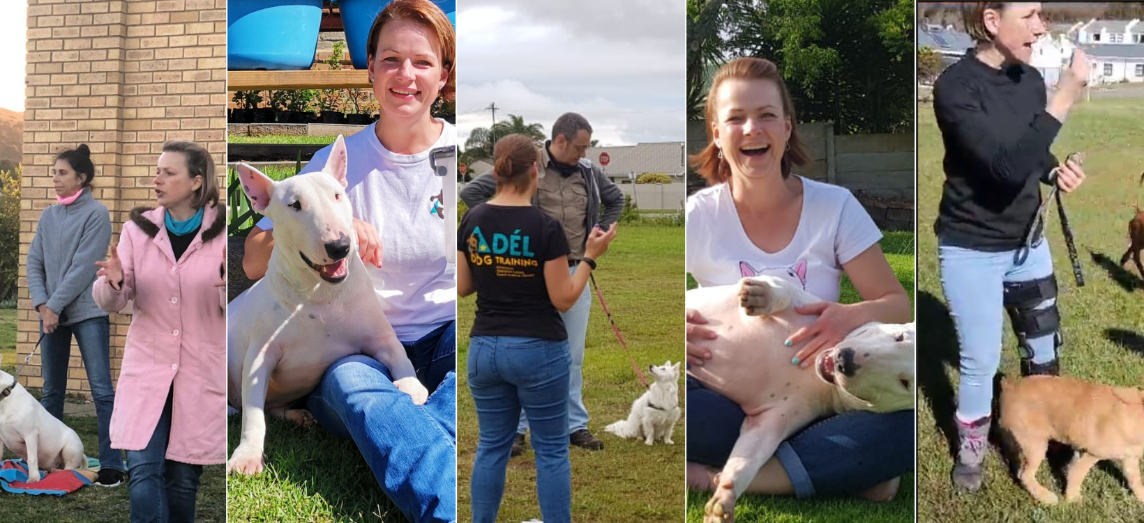 Adél Dog Training Dog Trainer in Bredasdorp Xplorio™ Bredasdorp