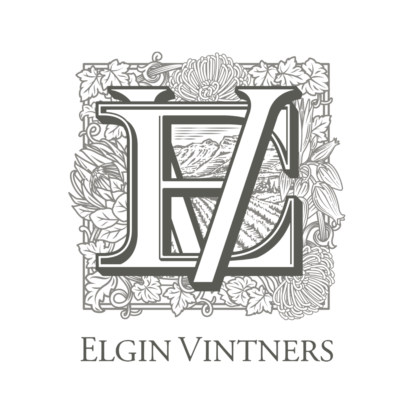 Elgin Cool Wine Festival Xplorio Grabouw / Elgin