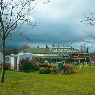 The Orchard Farm Stall Market - Grabouw / Elgin-2022 08 22