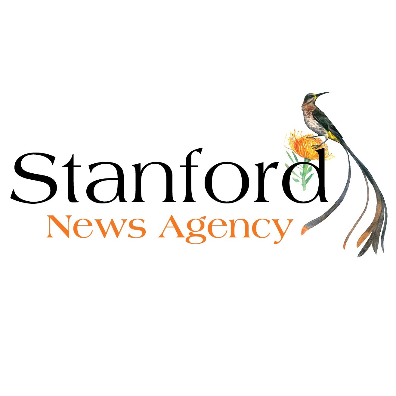 Stanford News Agency