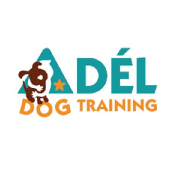 Basic Obedience Dog Training Course - Level 1