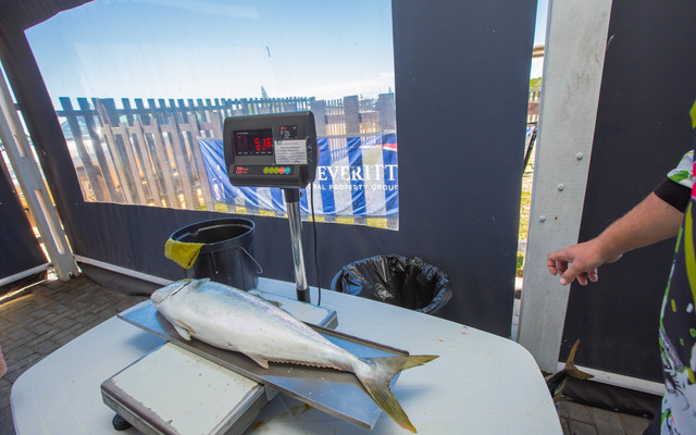 Weigh-In - Chas Everitt Cape Agulhas - Xplorio™ Agulhas