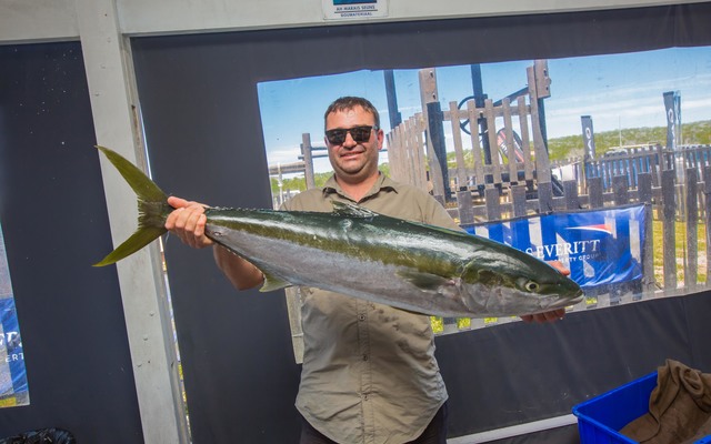 Yellowtail - Chas Everitt Cape Agulhas - Xplorio™ Agulhas
