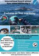 Next Dyer Island Marine Big 5 Tour: 04 January 2023