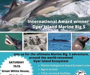 Next Dyer Island Cruises Trip: Saturday 07 January 2023