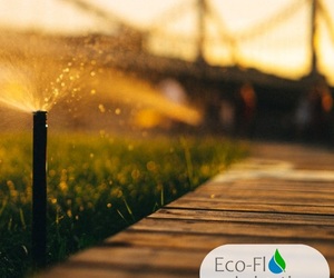 Why You Need An Irrigation System