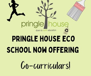 Co-Curricular Activities