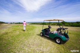 Golf Competition Results for 11 - 15 January 2023