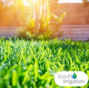 Summer Garden Care: Irrigation System