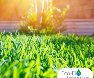 Summer Garden Care: Irrigation System