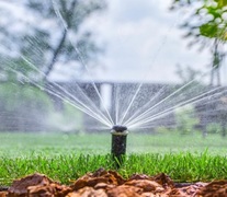 Affordable Irrigation to beat HEAT STRESS