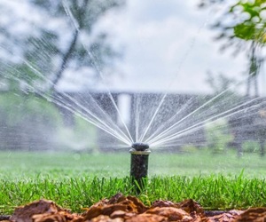 Affordable Irrigation to beat HEAT STRESS