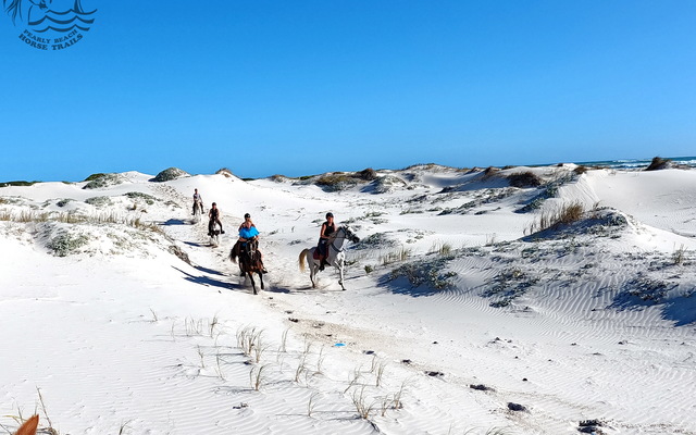 Pearly Beach Horse Trails
