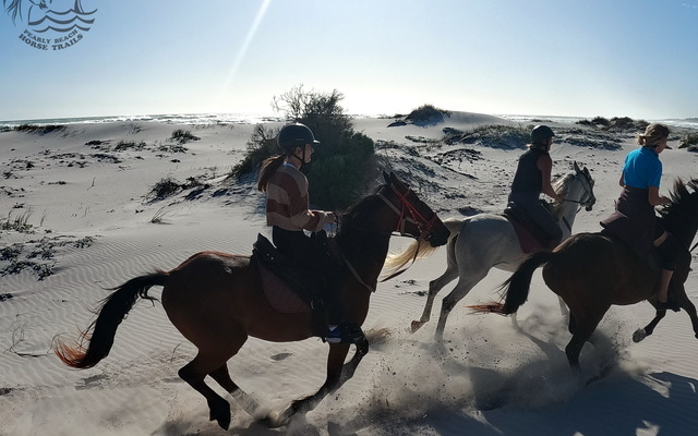 Pearly Beach Horse Trails