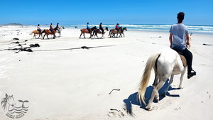 Shout out to all our wonderful guests...