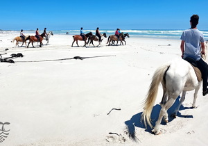 Shout out to all our wonderful guests...