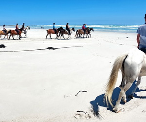 Shout out to all our wonderful guests...