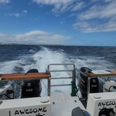 Fishing Charter - Awesome Charters - Xplorio™ L'Agulhas