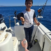 Fishing Charter - Awesome Charters - Xplorio™ L'Agulhas