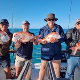 Fishing Charter - Awesome Charters - Xplorio™ L'Agulhas