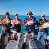Fishing Charter - Awesome Charters - Xplorio™ L'Agulhas