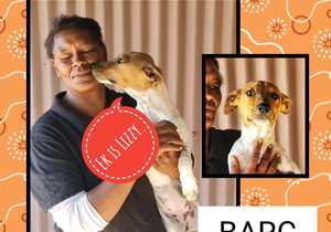 Up for Adoption: Lizzy