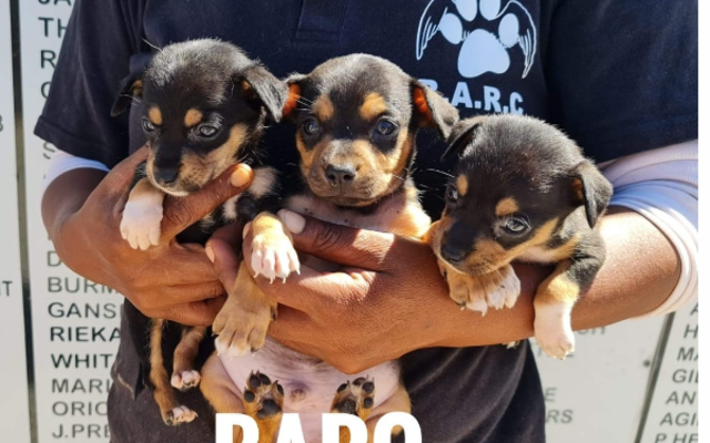 Screenshot_2023_01_30_135042_1675079692