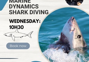 Shark Cage Diving Trip for Wednesday 1 February 2023