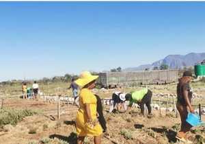 Landscaping in Stanford