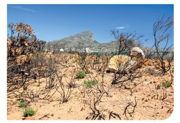 Understanding Your Fire Risk: Are You Wildfire Ready?