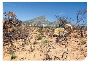 Understanding Your Fire Risk: Are You Wildfire Ready?