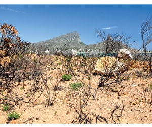 Understanding Your Fire Risk: Are You Wildfire Ready?