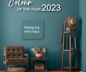 Vining Ivy (PPG1148-6)