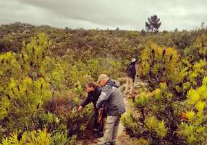 Take A Walk On The Wild Side - Download The iNaturalist App