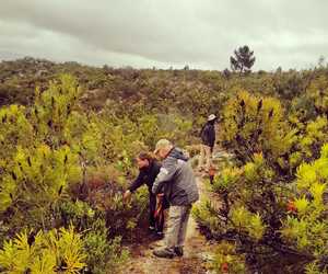 Take A Walk On The Wild Side - Download The iNaturalist App