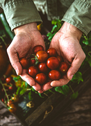 Keep Fruits and Vegetables Fresh Longer